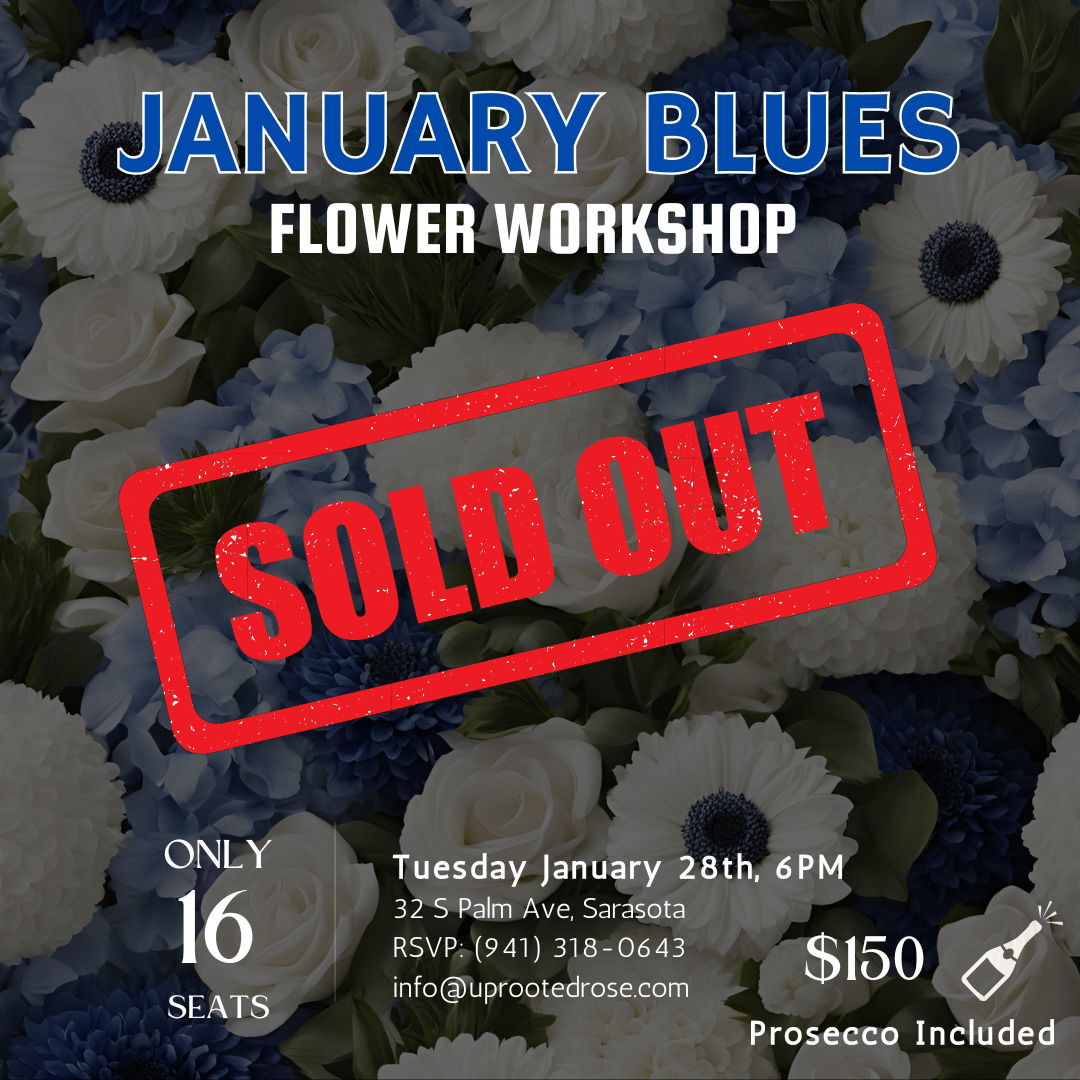 January Blues Flower Workshop