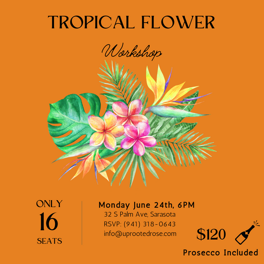 Tropical Workshop