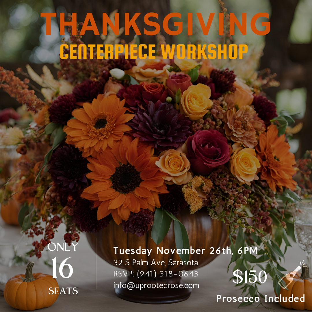 Thanksgiving Workshop - 11/26