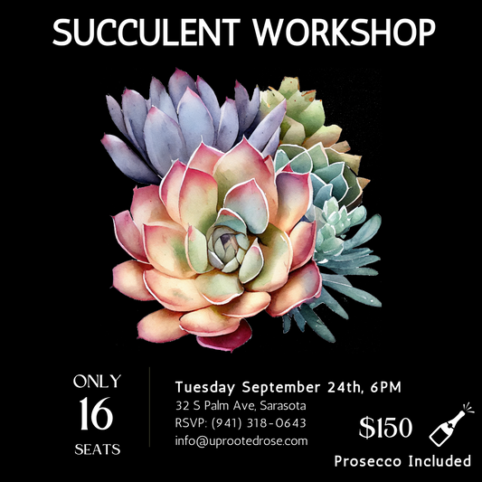 Succulent Workshop - 09/24