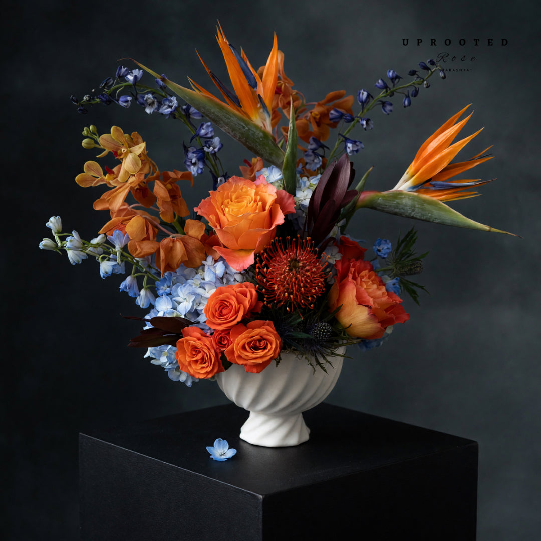 Tangerine Tide