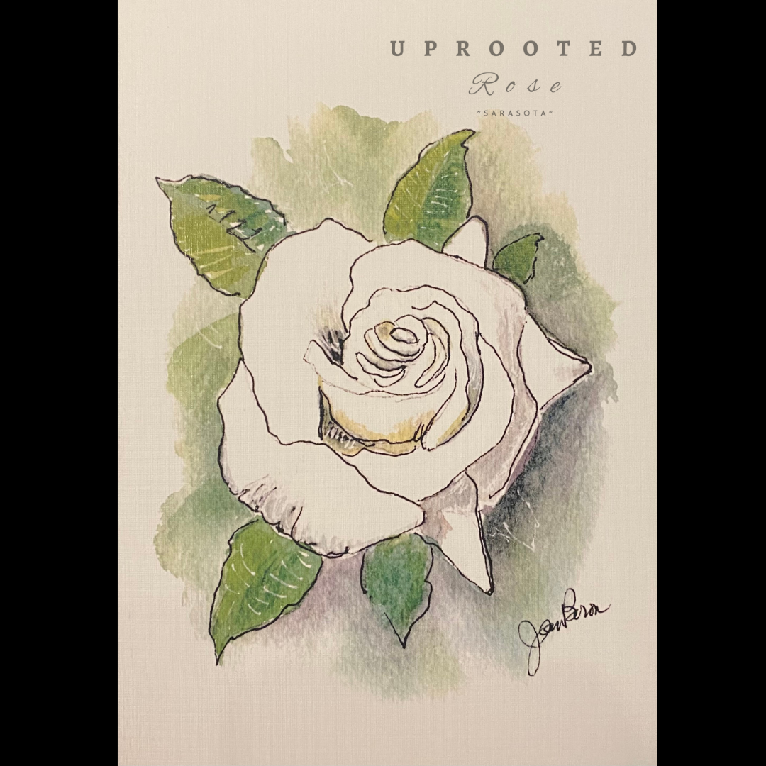 Premium Greeting Card | Uprooted Rose - Sarasota Florist