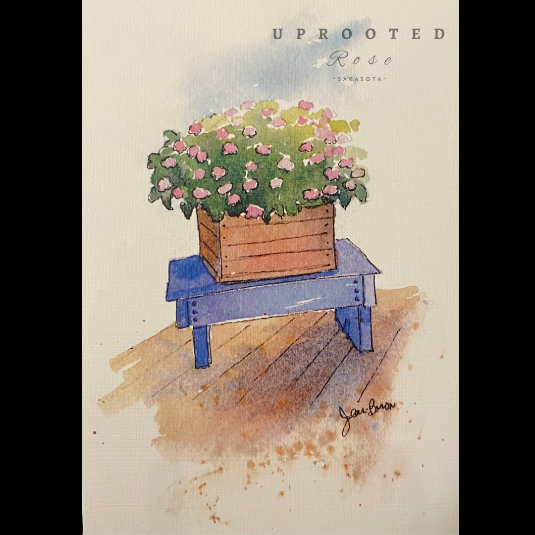 Premium Greeting Card | Uprooted Rose - Sarasota Florist