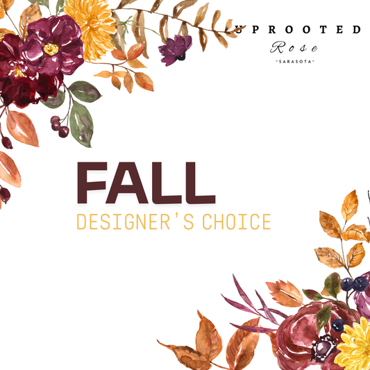 Fall Designer's Choice